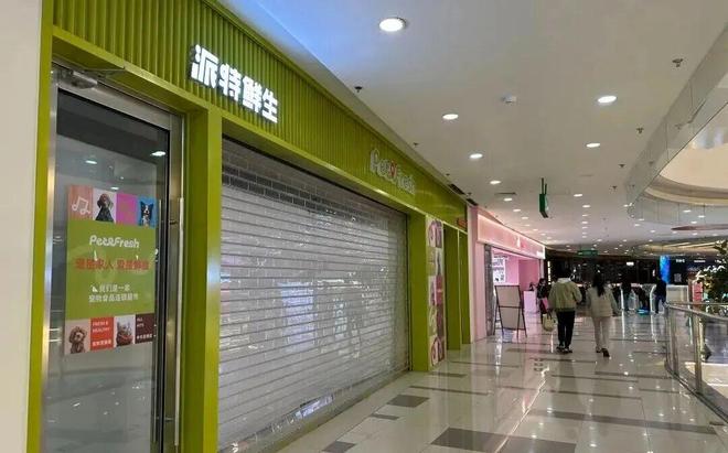 门店盒马创始人又失败了麻将胡了试玩关闭全