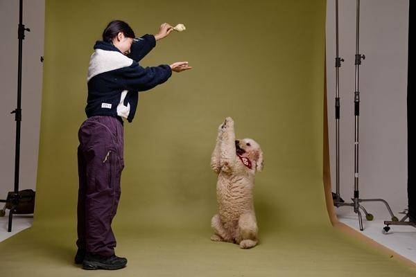 动物“逐梦演艺圈”PG麻将胡了他们带(图1) 动物“逐梦演艺圈”PG麻将胡了他们带(图1)