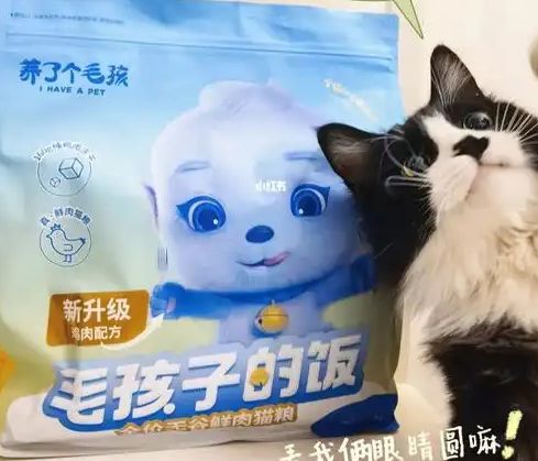 ！三只松鼠靠什么重返宠物食品赛道麻将胡了零食巨头盯上毛孩子口粮(图1)