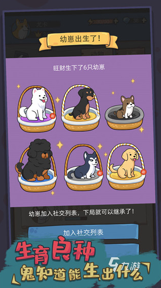 个 2025经典的小狗手游怎么麻将胡了热门的小狗游戏有哪几(图6)